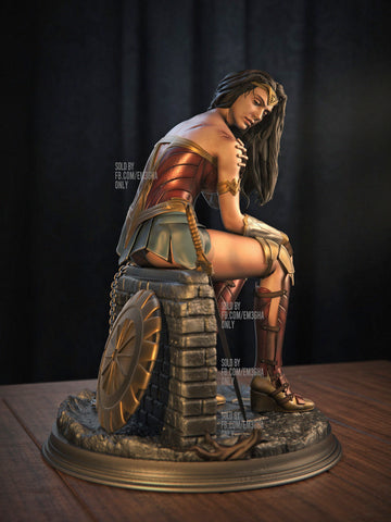 Wonder Woman Battle Scarred - Gal Gadot