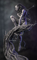 The Hunt for Medusa