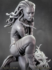 The Hunt for Medusa