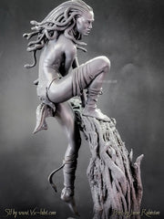 The Hunt for Medusa